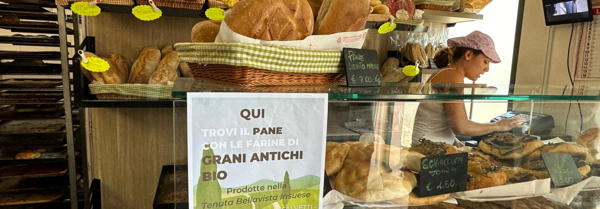 pane elba 2